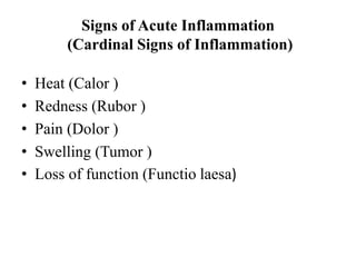 Signs of Acute Inflammation
(Cardinal Signs of Inflammation)
• Heat (Calor )
• Redness (Rubor )
• Pain (Dolor )
• Swelling (Tumor )
• Loss of function (Functio laesa)
 