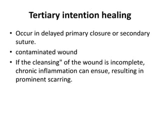 Tertiary intention healing
• Occur in delayed primary closure or secondary
suture.
• contaminated wound
• If the cleansing" of the wound is incomplete,
chronic inflammation can ensue, resulting in
prominent scarring.
 