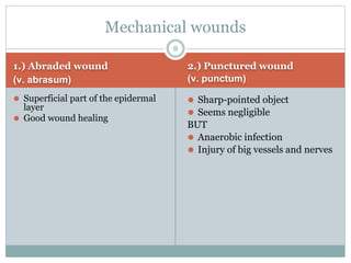 1.) Abraded wound
(v. abrasum)
2.) Punctured wound
(v. punctum)
⚫ Superficial part of the epidermal
layer
⚫ Good wound hea...