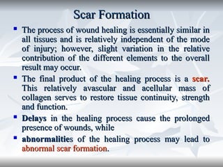 Scar Progression Comprehensive Overview of Wound Healing Phases and Mechanisms | PPT