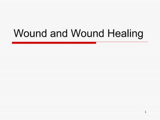 Wound and Wound Healing 