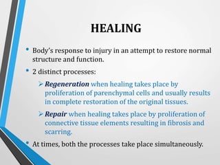 HEALING
• Body’s response to injury in an attempt to restore normal
structure and function.
• 2 distinct processes:
Regeneration when healing takes place by
proliferation of parenchymal cells and usually results
in complete restoration of the original tissues.
Repair when healing takes place by proliferation of
connective tissue elements resulting in fibrosis and
scarring.
• At times, both the processes take place simultaneously.
 