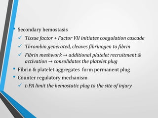 • Secondary hemostasis
 Tissue factor + Factor VII initiates coagulation cascade
 Thrombin generated, cleaves fibrinogen to fibrin
 Fibrin meshwork → additional platelet recruitment &
activation → consolidates the platelet plug
• Fibrin & platelet aggregates form permanent plug
• Counter regulatory mechanism
 t-PA limit the hemostatic plug to the site of injury
 
