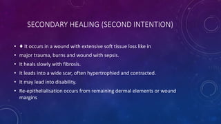 SECONDARY HEALING (SECOND INTENTION)
• ♦ It occurs in a wound with extensive soft tissue loss like in
• major trauma, burns and wound with sepsis.
• It heals slowly with fibrosis.
• It leads into a wide scar, often hypertrophied and contracted.
• It may lead into disability.
• Re-epithelialisation occurs from remaining dermal elements or wound
margins
 