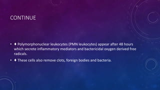 CONTINUE
• ♦ Polymorphonuclear leukocytes (PMN leukocytes) appear after 48 hours
which secrete inflammatory mediators and bactericidal oxygen derived free
radicals.
• ♦ These cells also remove clots, foreign bodies and bacteria.
 