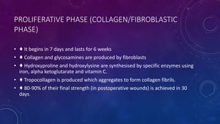 PROLIFERATIVE PHASE (COLLAGEN/FIBROBLASTIC
PHASE)
• ♦ It begins in 7 days and lasts for 6 weeks
• ♦ Collagen and glycosamines are produced by fibroblasts
• ♦ Hydroxyproline and hydroxylysine are synthesised by specific enzymes using
iron, alpha ketoglutarate and vitamin C.
• ♦ Tropocollagen is produced which aggregates to form collagen fibrils.
• ♦ 80-90% of their final strength (in postoperative wounds) is achieved in 30
days.
 