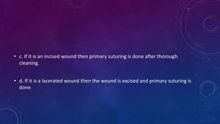 • c. If it is an incised wound then primary suturing is done after thorough
cleaning.
• d. If it is a lacerated wound then the wound is excised and primary suturing is
done.
 