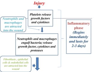 Wound and Wound healing | PPTX