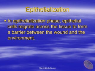 Wound and wound infection | PDF