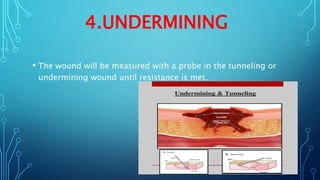 wound assessment tools.pptx