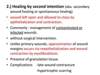 <ul><li>2.) Healing by second intention   (aka. secondary wound healing or spontaneous healing) </li></ul><ul><li>wound le...
