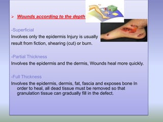  Wounds according to the depth:
-Superficial
Involves only the epidermis Injury is usually
result from fiction, shearing (cut) or burn.
-Partial Thickness
Involves the epidermis and the dermis, Wounds heal more quickly.
-Full Thickness
Involves the epidermis, dermis, fat, fascia and exposes bone In
order to heal, all dead tissue must be removed so that
granulation tissue can gradually fill in the defect.
 