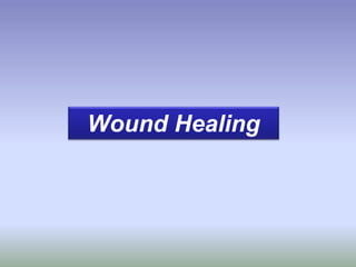 Wound Healing
 