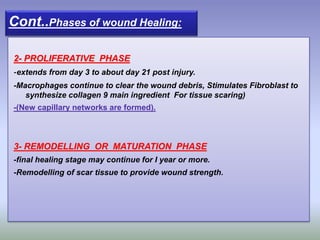 2- PROLIFERATIVE PHASE
-extends from day 3 to about day 21 post injury.
-Macrophages continue to clear the wound debris, Stimulates Fibroblast to
synthesize collagen 9 main ingredient For tissue scaring)
-(New capillary networks are formed).
3- REMODELLING OR MATURATION PHASE
-final healing stage may continue for I year or more.
-Remodelling of scar tissue to provide wound strength.
Cont..Phases of wound Healing:
 