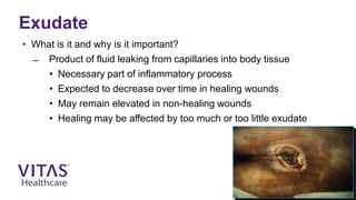 Wound Care 101 | PPTX