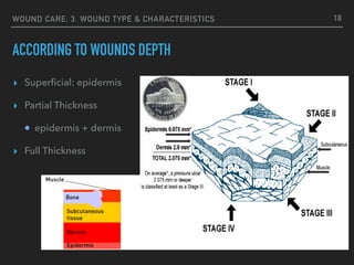 WOUND CARE: 3. WOUND TYPE & CHARACTERISTICS
ACCORDING TO WOUNDS DEPTH
▸ Superﬁcial: epidermis
▸ Partial Thickness
epidermis + dermis
▸ Full Thickness
18
 