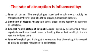 The rate of absorption is influenced by:
1. Type of tissue: The surgical gut absorbed much more rapidly in
mucous membrane, and absorbed slowly in subcutaneous fat.
2. Condition of tissue: Absorption takes place more rapidly in absence
of infection.
3. General health status of patient: Surgical gut may be absorbed more
rapidly in well nourished tissue or healthy tissue, but in old pt. it may
remain for long time.
4. Type of surgical gut: Plain gut is untreated but chromic gut is treated
to provide greater resistance to absorption.
By Ame M.
 