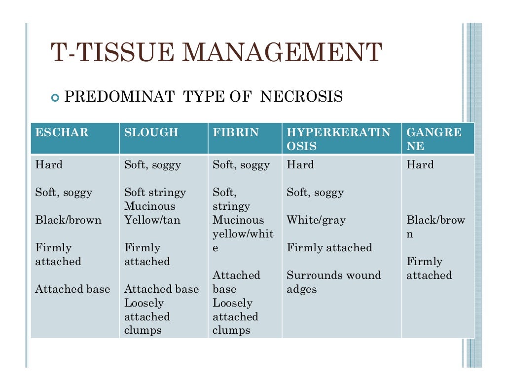 Wound care lectures