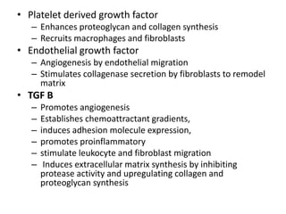 • Platelet derived growth factor
– Enhances proteoglycan and collagen synthesis
– Recruits macrophages and fibroblasts
• Endothelial growth factor
– Angiogenesis by endothelial migration
– Stimulates collagenase secretion by fibroblasts to remodel
matrix
• TGF B
– Promotes angiogenesis
– Establishes chemoattractant gradients,
– induces adhesion molecule expression,
– promotes proinflammatory
– stimulate leukocyte and fibroblast migration
– Induces extracellular matrix synthesis by inhibiting
protease activity and upregulating collagen and
proteoglycan synthesis
 