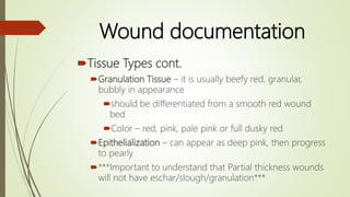 Wound documentation: anatomy & photography | PPTX