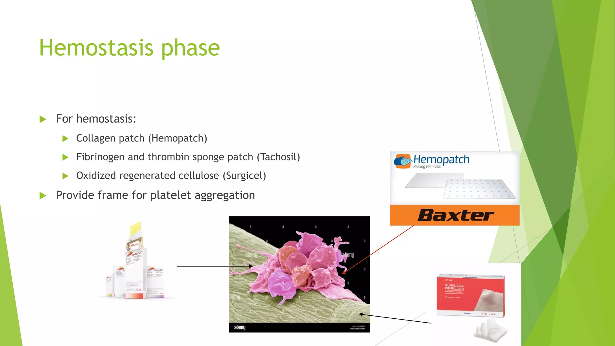 wound dressing selection.pdf