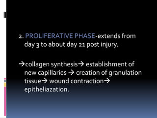 2. PROLIFERATIVE PHASE-extends from
day 3 to about day 21 post injury.
collagen synthesis establishment of
new capillaries  creation of granulation
tissue wound contraction
epitheliazation.
 