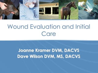 Wound Evaluation and Initial
                Care

          Joanne Kramer DVM, DACVS
          Dave Wilson DVM, MS, DACVS

Slide 1                                www.vmth.missouri.edu
 