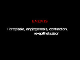 EVENTS Fibroplasia, angiogenesis, contraction,  re-epithelization 