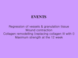 EVENTS Regression of vessels & granulation tissue Wound contraction Collagen remodelling (replacing collagen III with I) Maximum strength at the 12 week 