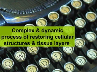 Complex & dynamic process of restoring cellular structures & tissue layers  