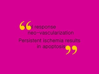 Initial response  neo-vascularization  Persistent ischemia results  in apoptosis  “ ” 