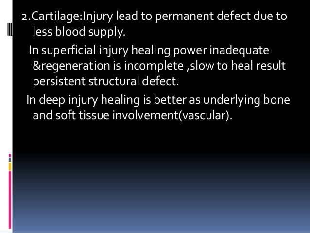 Cartilage Tissue Tends To Heal Less Rapidly Than Bone Tissue. Cartilage Tissue Tends To Heal Less Rapidly Than Bone Tissue.