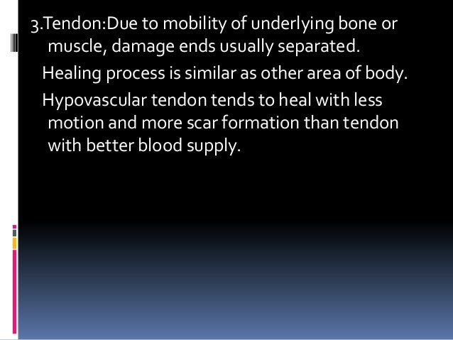 Cartilage Tissue Tends To Heal Less Rapidly Than Bone Tissue. Wound healing