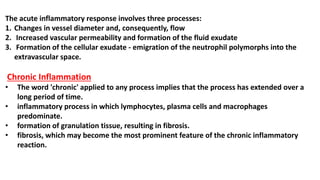 The acute inflammatory response involves three processes:
1. Changes in vessel diameter and, consequently, flow
2. Increased vascular permeability and formation of the fluid exudate
3. Formation of the cellular exudate - emigration of the neutrophil polymorphs into the
extravascular space.
Chronic Inflammation
• The word 'chronic' applied to any process implies that the process has extended over a
long period of time.
• inflammatory process in which lymphocytes, plasma cells and macrophages
predominate.
• formation of granulation tissue, resulting in fibrosis.
• fibrosis, which may become the most prominent feature of the chronic inflammatory
reaction.
 