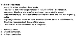 B.Fibroplastic Phase
• Rebuilding starts, last about three weeks.
• This phase is named for the primary cell of scar production—the fibroblast.
• purpose of this phase is to resurface and impart strength to the wound.
• in response to injury , precursors of the fibroblast transform into cells with migratory
ability.
• Migratory fibroblasts follow the fibrin meshwork created earlier in the wound fluid.
• Fibroblast has access to all depths of the wound.
• Three process occurs simultaneously in this phase:
1. Epithelialization.
2. wound contraction.
3. collagen production.
 