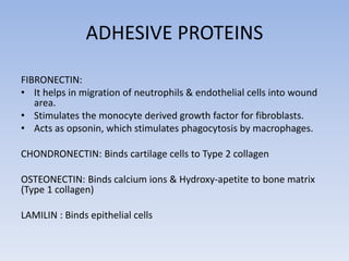 Chondronectin Wound healing | PPTX