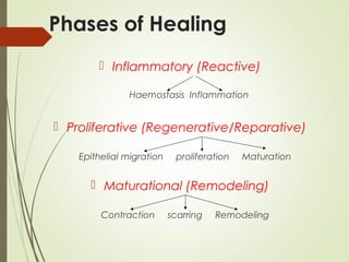 Phases of Healing
 Inflammatory (Reactive)
Haemostasis Inflammation
 Proliferative (Regenerative/Reparative)
Epithelial migration proliferation Maturation
 Maturational (Remodeling)
Contraction scarring Remodeling
 