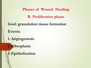 Phases of Wound Healing
B. Proliferative phase
Goal: granulation tissue formation
Events:
1. Angiogenesis
2.Fibroplasia
3.Epithelization
 