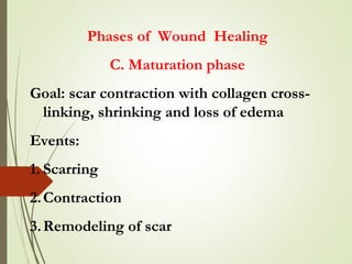 Phases of Wound Healing
C. Maturation phase
Goal: scar contraction with collagen cross-
linking, shrinking and loss of edema
Events:
1. Scarring
2.Contraction
3.Remodeling of scar
 