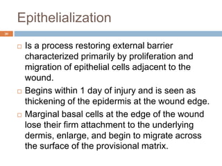 Wound healing | PPTX