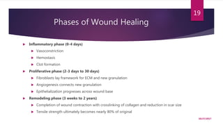 Phases of Wound Healing
 Inflammatory phase (0-4 days)
 Vasoconstriction
 Hemostasis
 Clot formation
 Proliferative phase (2-3 days to 30 days)
 Fibroblasts lay framework for ECM and new granulation
 Angiogenesis connects new granulation
 Epithelialization progresses across wound base
 Remodeling phase (3 weeks to 2 years)
 Completion of wound contraction with crosslinking of collagen and reduction in scar size
 Tensile strength ultimately becomes nearly 80% of original
10/27/2017
19
 