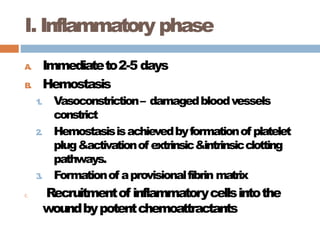I. Inflammatory phase
A
. Immediateto2-5 days
B
. Hemostasis
1. Vasoconstriction– damagedbloodvessels
constrict
2. Hemostasisisachievedbyformationof platelet
plug&activationof extrinsic&intrinsicclotting
pathways.
3. Formationof aprovisionalfibrin matrix
C. Recruitmentof inflammatorycellsintothe
woundbypotentchemoattractants
 