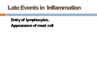 LateEventsin Inflammation
Entryof lymphocytes.
Appearanceof mast cell
 