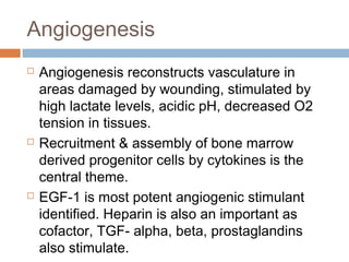 Angiogenesis
 Angiogenesis reconstructs vasculature in
areas damaged by wounding, stimulated by
high lactate levels, acidic pH, decreased O2
tension in tissues.
 Recruitment & assembly of bone marrow
derived progenitor cells by cytokines is the
central theme.
 EGF-1 is most potent angiogenic stimulant
identified. Heparin is also an important as
cofactor, TGF- alpha, beta, prostaglandins
also stimulate.
 
