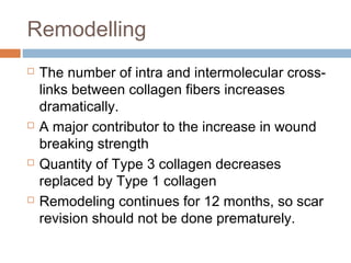 Remodelling
 The number of intra and intermolecular cross-
links between collagen fibers increases
dramatically.
 A major contributor to the increase in wound
breaking strength
 Quantity of Type 3 collagen decreases
replaced by Type 1 collagen
 Remodeling continues for 12 months, so scar
revision should not be done prematurely.
 