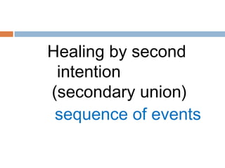 Healing by second
intention
(secondary union)
sequence of events
 