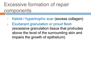 Excessive formation of repair
components
1. Keloid / hypertrophic scar (excess collagen)
2. Exuberant granulation or proud flesh
(excessive granulation tissue that protrudes
above the level of the surrounding skin and
impairs the growth of epithelium)
 