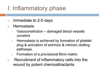 I. Inflammatory phase
A. Immediate to 2-5 days
B. Hemostasis
1. Vasoconstriction – damaged blood vessels
constrict
2. Hemostasis is achieved by formation of platelet
plug & activation of extrinsic & intrinsic clotting
pathways.
3. Formation of a provisional fibrin matrix
C. Recruitment of inflammatory cells into the
wound by potent chemoattractants
 