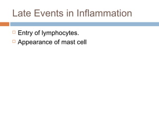 Late Events in Inflammation
 Entry of lymphocytes.
 Appearance of mast cell
 