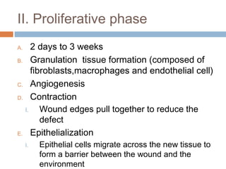 II. Proliferative phase
A. 2 days to 3 weeks
B. Granulation tissue formation (composed of
fibroblasts,macrophages and endothelial cell)
C. Angiogenesis
D. Contraction
I. Wound edges pull together to reduce the
defect
E. Epithelialization
I. Epithelial cells migrate across the new tissue to
form a barrier between the wound and the
environment
 